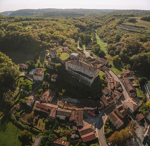 Château de Blanquefort (1)