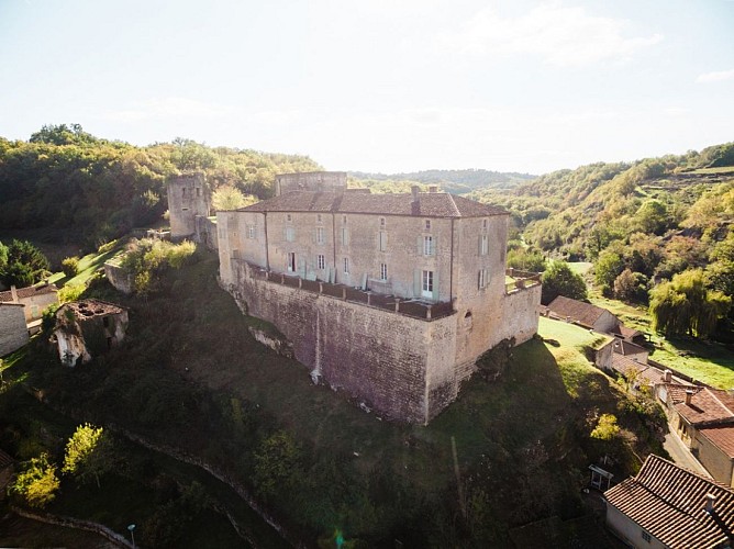 Château de Blanquefort (4)