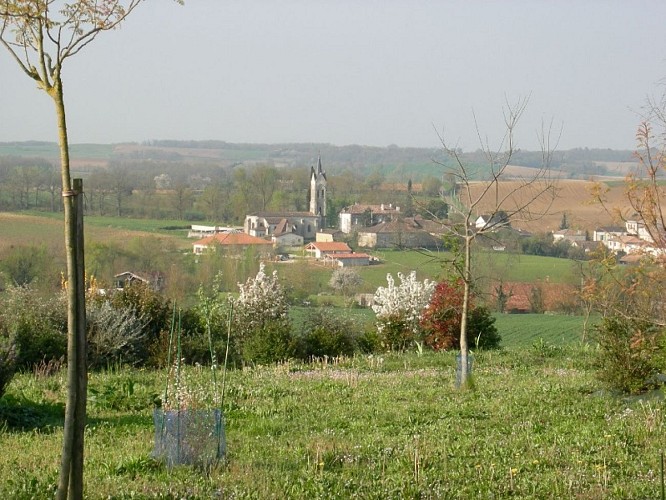 MONTIGNAC DE LAUZUN