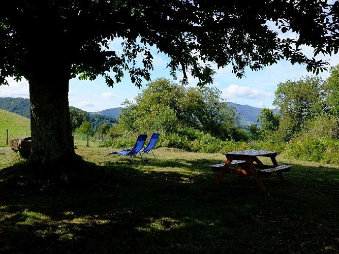 Maison Durruty jardin - Osses