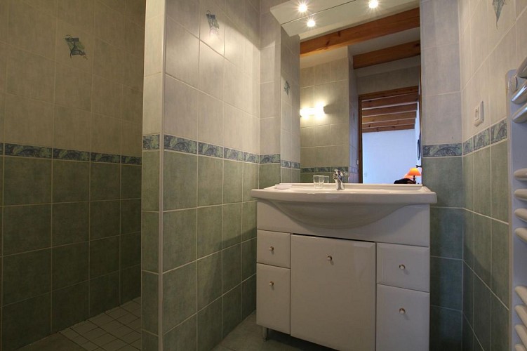 Maison Haran 2 salle de douche - Bidarray