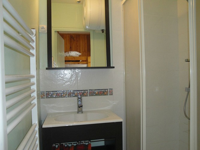 Perez 206 - Salle d'eau