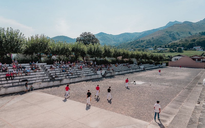 TEDDY BEAR pilota 1440 x 900