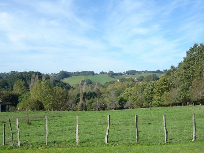 Madame Marie-Josée GARATE