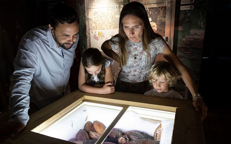 d92ae4e5-b602-40da-b3b2-cd173472b6d6