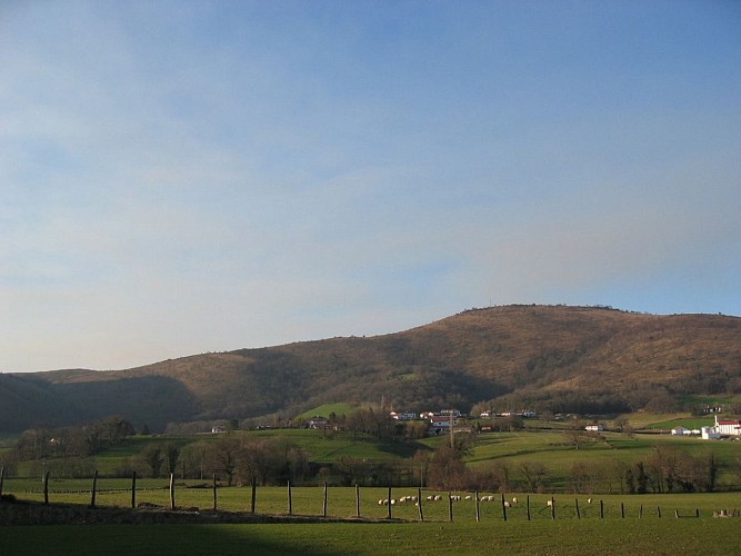 Etcharnia - 64120 Larceveau (11)