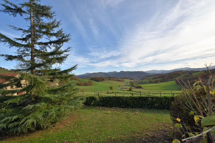 Diriart -Vue montagne- Ainhice Mongelos14