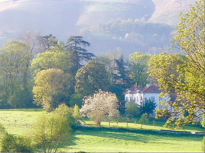Location Chapelle - Baronnie - 10 - Vue - Ainhice-Mongelos