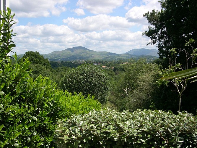 Chardon - Vue montagne 6