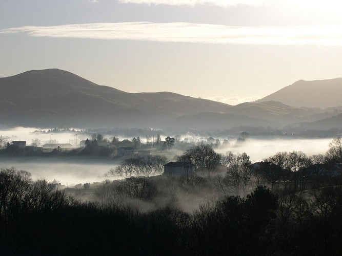 Chardon - Vue campagne 7