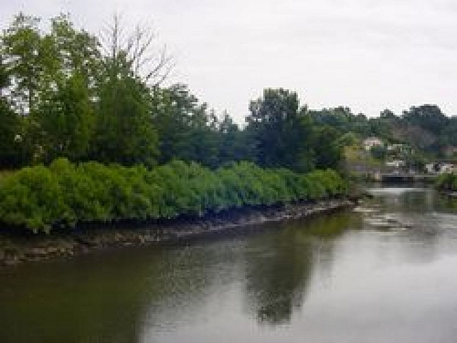 Ile de la Conférence (ou Ile des Faisans)