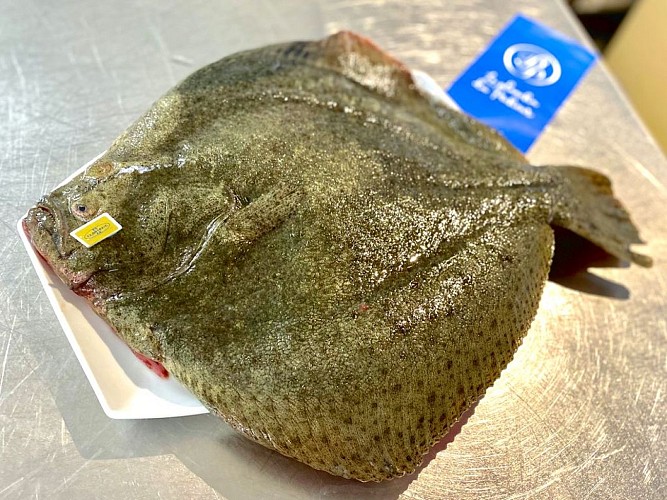 Plancha-Pecheur-Ondres4-TS