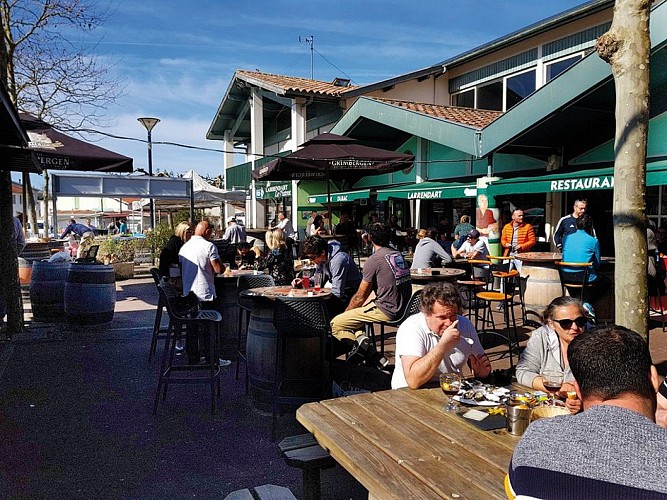 X1-Larrendart--2019-