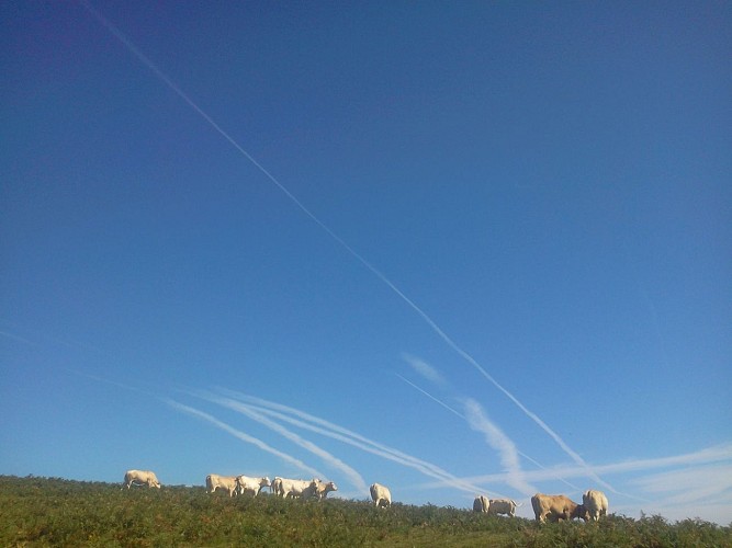 Chapelle d'Azkonbegi - 64120 lantabat (7)