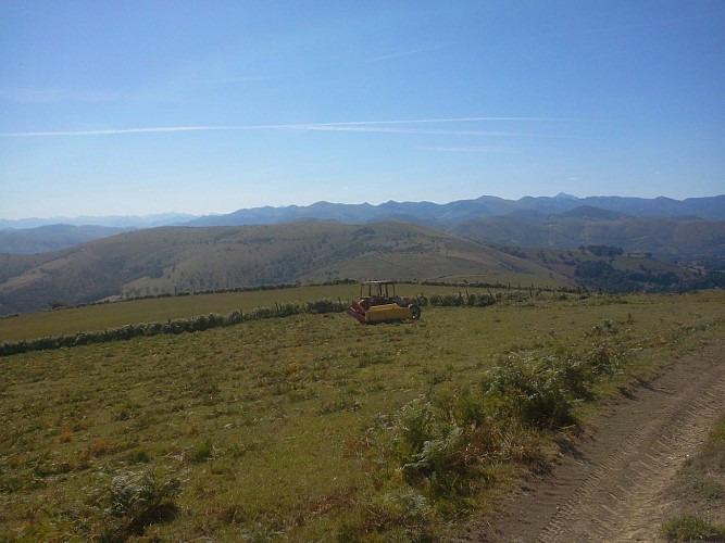 Chapelle d'Azkonbegi - 64120 lantabat (8)