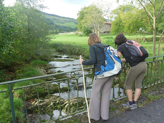 Ibarrole---Pays-Basque