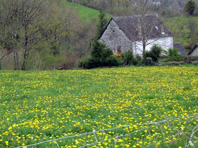 Gîte Baillet Ransinan