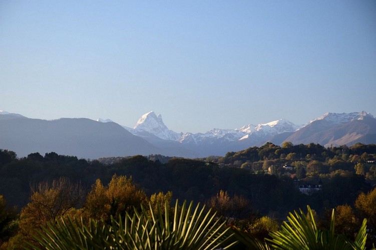 Le boulevard des Pyrénées