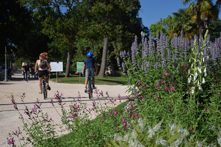 Parc Beaumont - Pau - Vélos