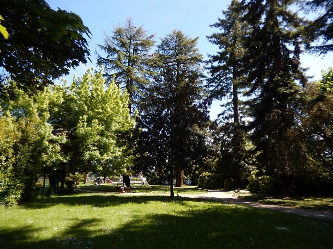 Square Besson - Pau - Arbres