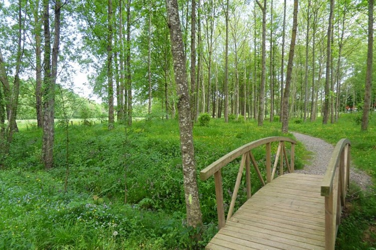 Saint-Palais : bois de la Ville