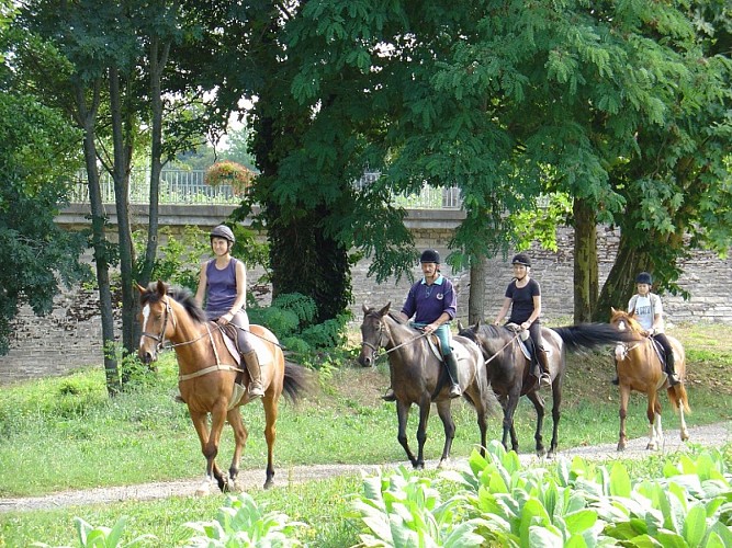 Saint-Palais, station verte de vacances