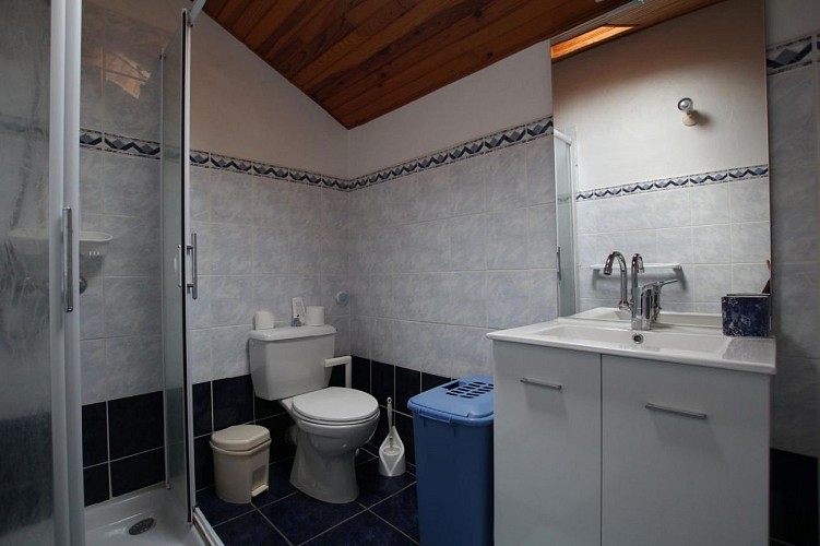 Maison Barnetche salle de douche - Mendive