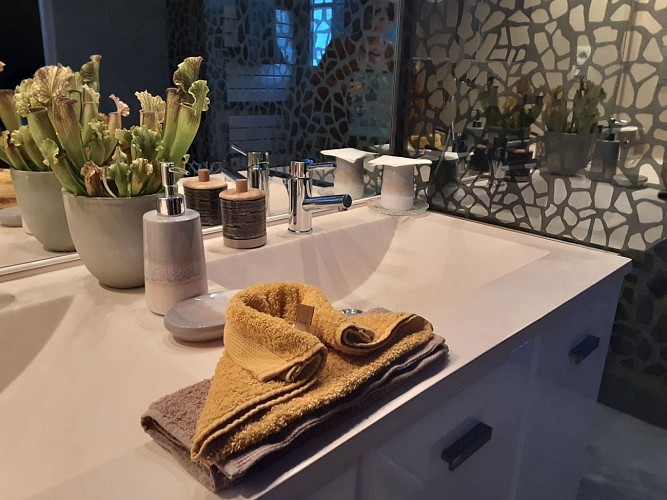 gite asaliah photo salle eau 2