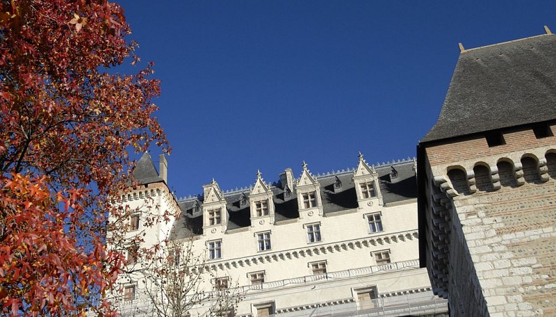 Musée National du Château de Pau - Pau - Détails architecture