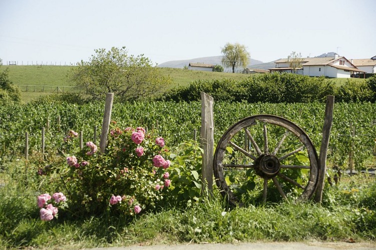 Legagnoa - Vue campagne