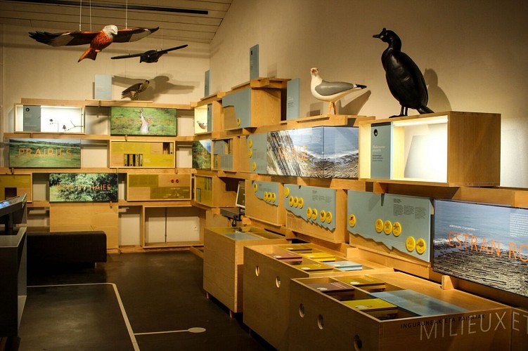 Maison de la Corniche Exposition 2