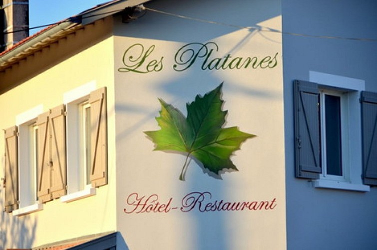 platanes