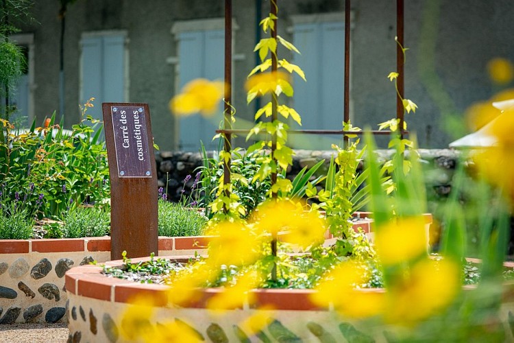 sarcophage