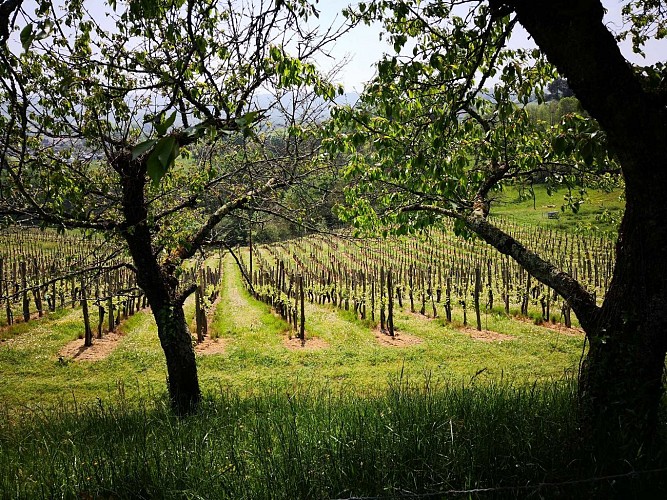 IMG-20180424-124338-2