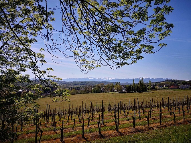 IMG-20180418-112739-2