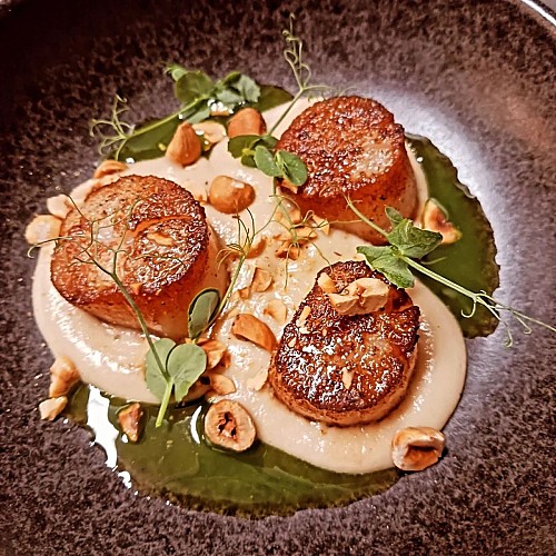 Bistrotplat