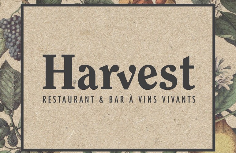 harvest-bar-a-vin-vivant-pedebert