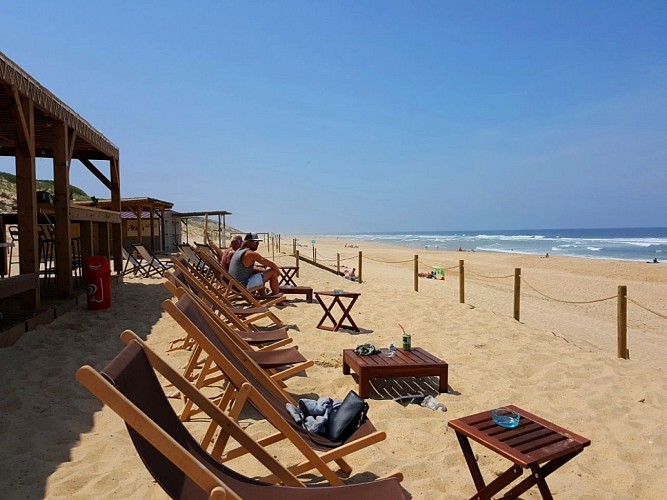 Couleur locale Bourdaines