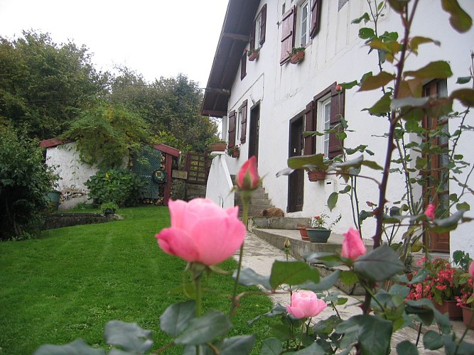 Location Hiribarne-7