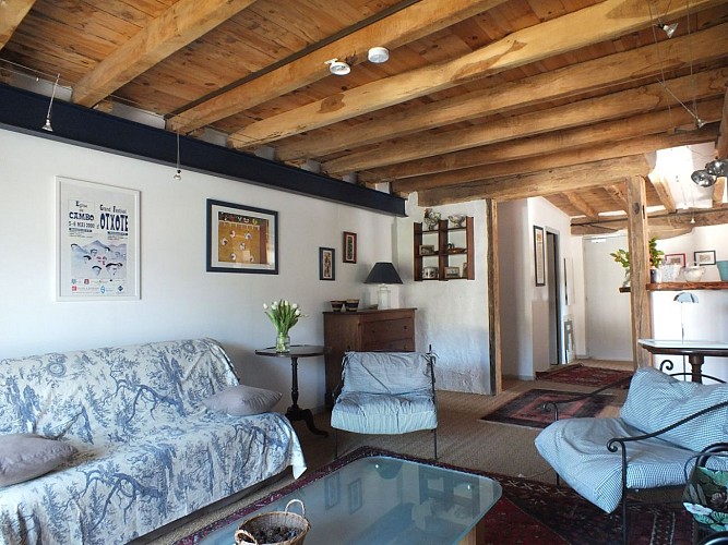 Rigoux_pena_plata_salon_1