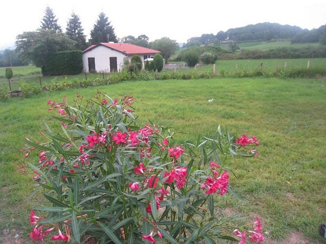 Maison-Daguerre-jardin---Ahaxe