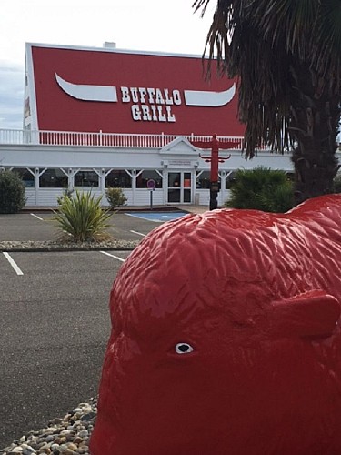 Buffalo Grill