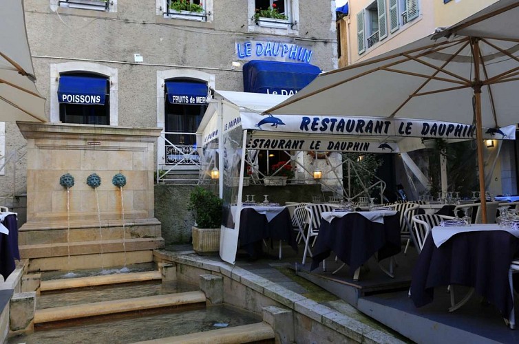 Restaurant Le Dauphin - Pau - terrasse