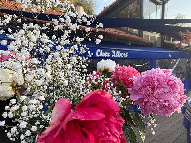 Chez Albert Biarritz Terrasse 6