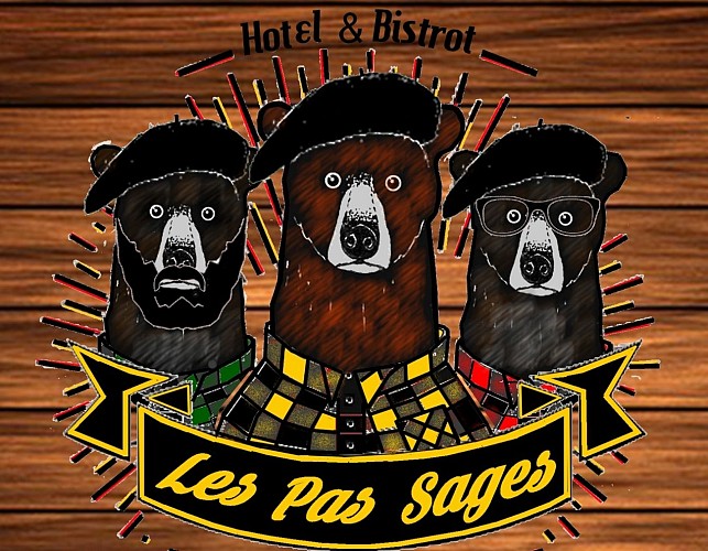 Les-Pas-Sages---Logo---SARRANCE---LES-PAS-SAGES----DI-2