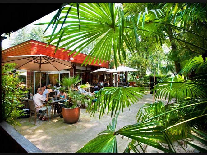 palmarium - terrasse