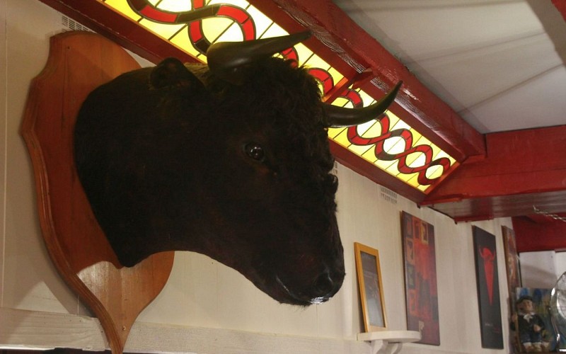 Tête de Taureau - Chez Txotx