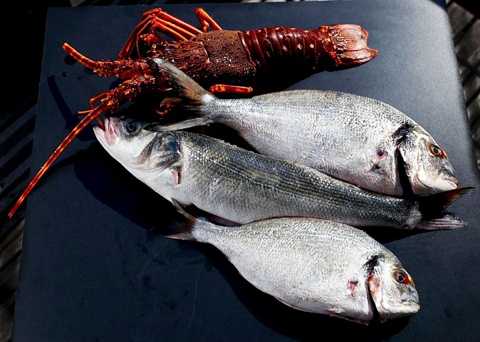 L'impertinent Biarritz poissons