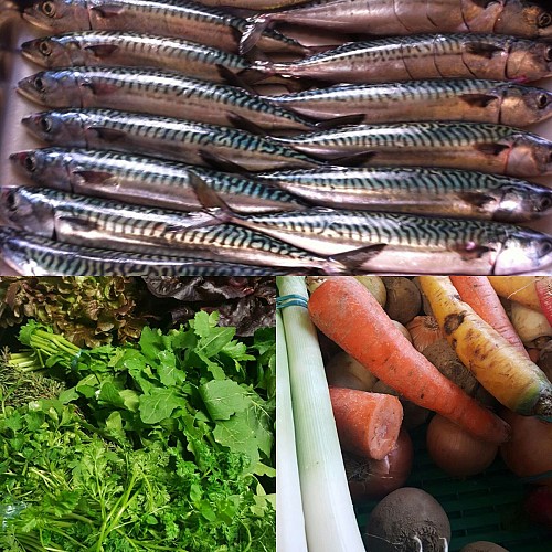 01C87AE5-B064-4D87-8D26-7E455EF20484