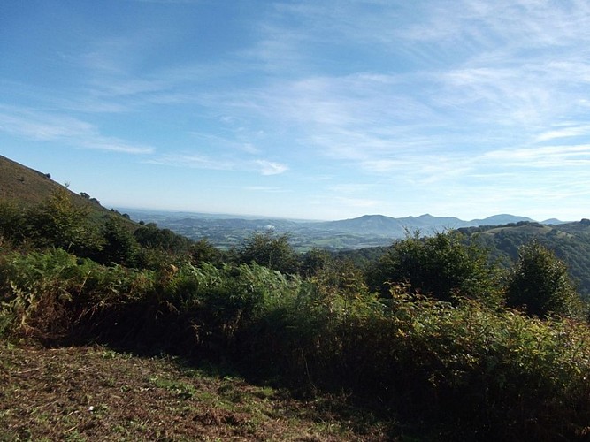 CDT64_tfinal_col_lizarrieta_sare